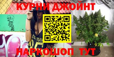 бошки Гусь-Хрустальный
