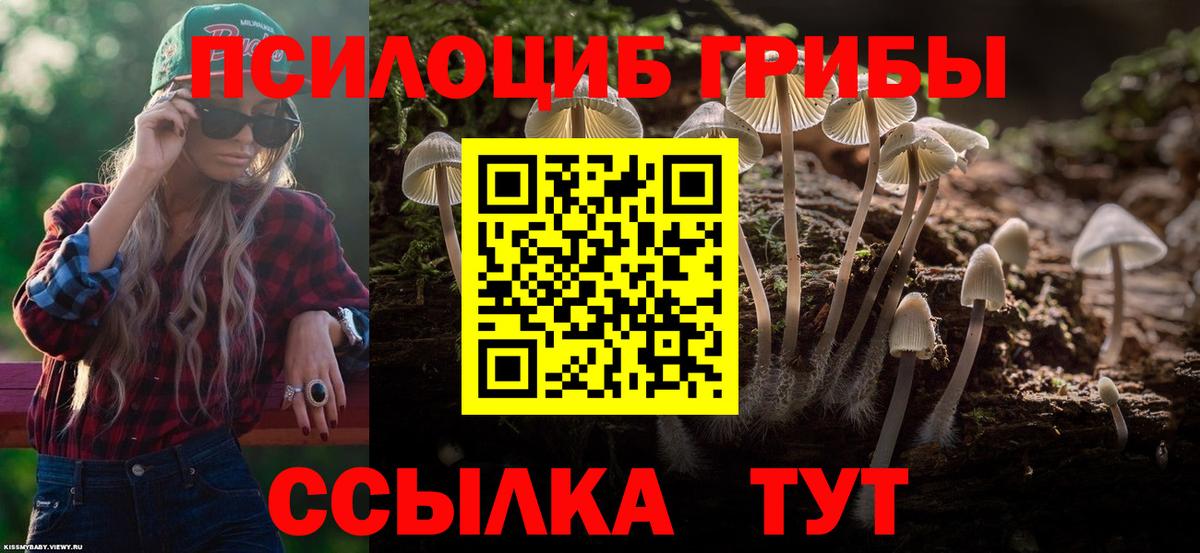 Галлюциногенные грибы Psilocybine cubensis Михайловка