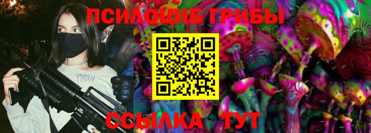 закладки  Галлюциногенные грибы MAGIC MUSHROOMS  Вход с VPN  Михайловка  Псилоцибиновые грибы мицелий 